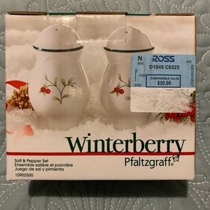 NWT Pfaltzgraff Winterberry Salt and Pepper Set.